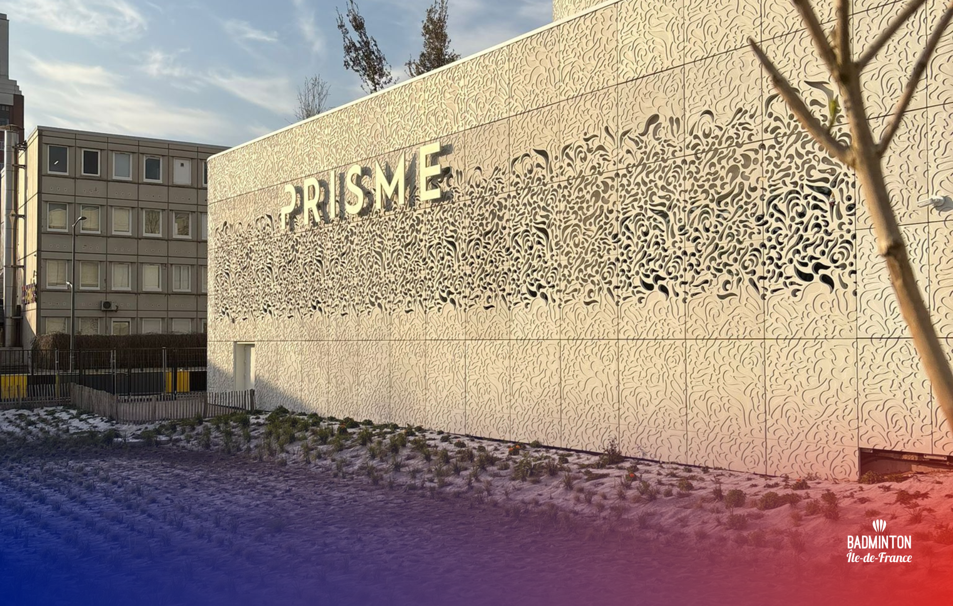 27 - Animation Para prisme - Facebook Site (5)